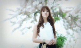 柳州莫青视频mp4,探寻柳州美食与文化的独特魅力